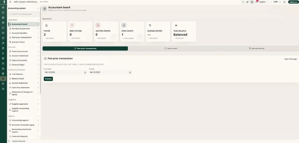 Accountant workspace — journals, trial balance and financial statements