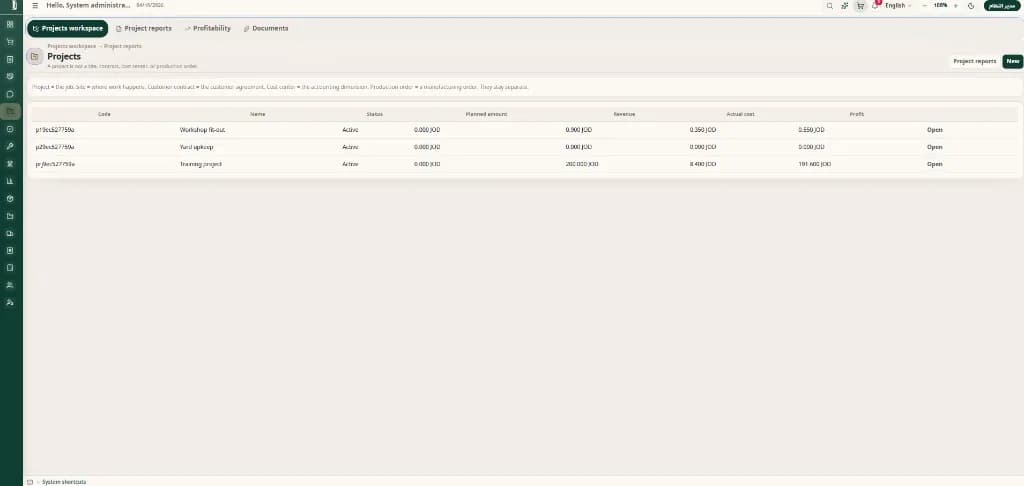 Projects — revenue, cost and profitability