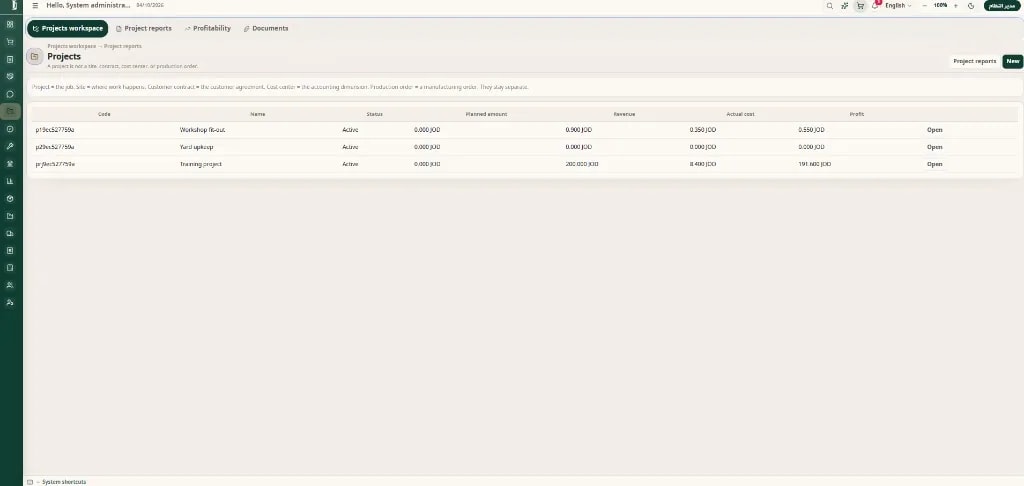 Projects — revenue, cost and profitability